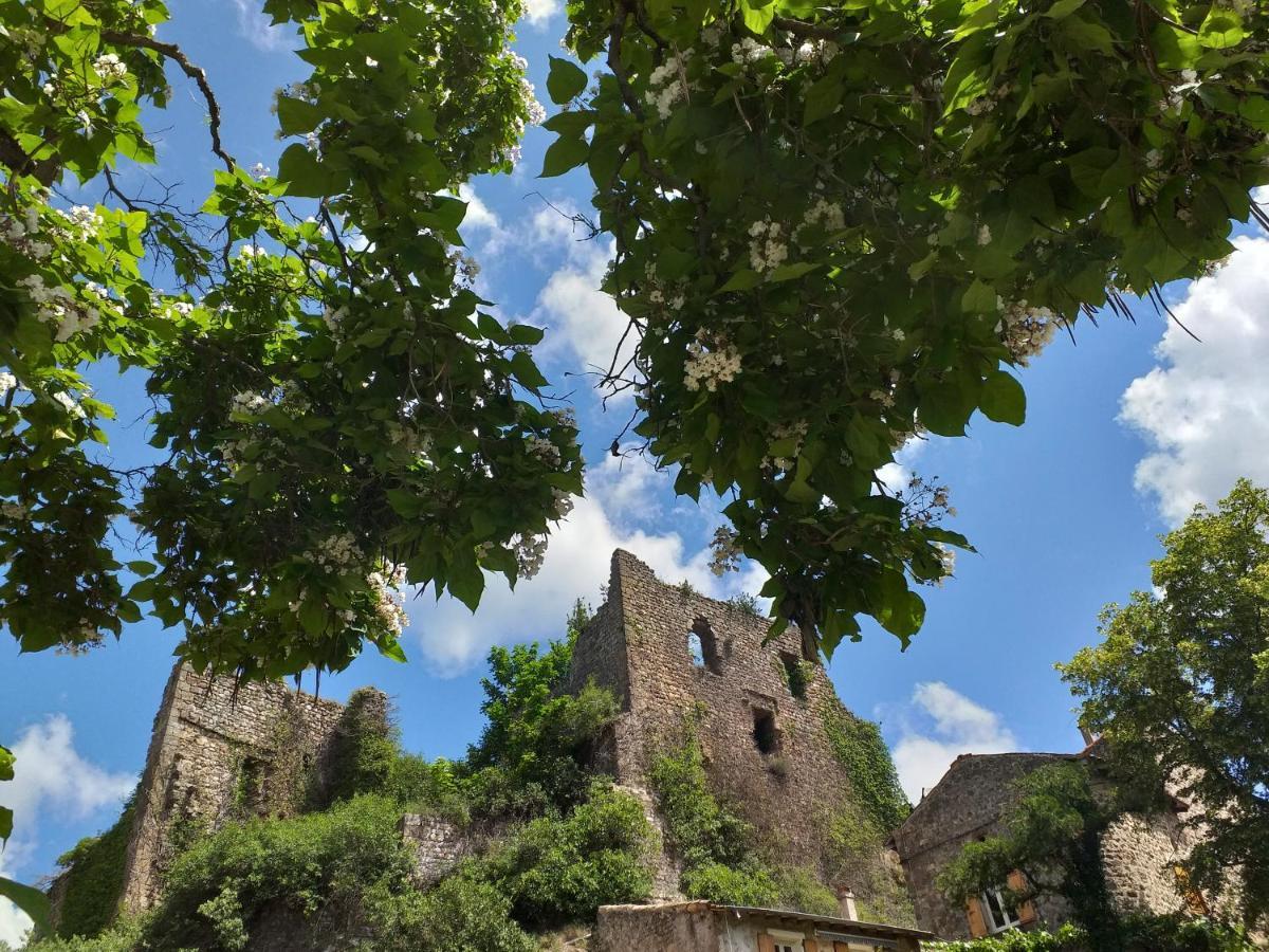 Les Pentes Du Chateau De Retourtour Lamastre Zewnętrze zdjęcie